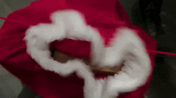 Santa Claus Christmas GIF by Karl's Bait & Tackle