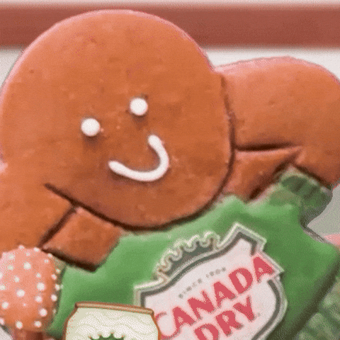 Send Help GIF by Canada Dry Ginger Ale