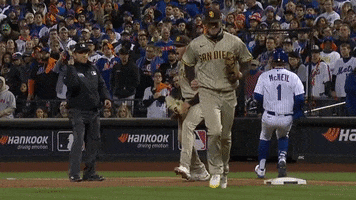 Yell Lets Go GIF by MLB