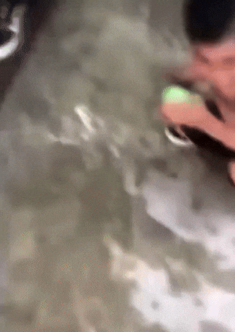 Scared Kid GIF