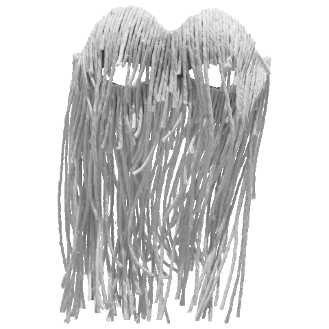 Carnival Mask Sticker by MADE NOW MUSIC