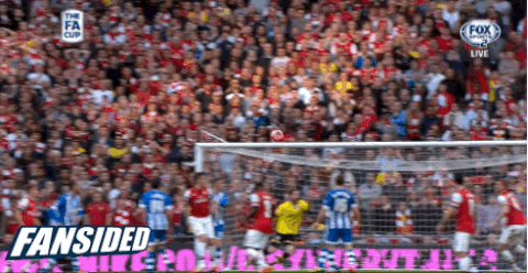 per mertesacker