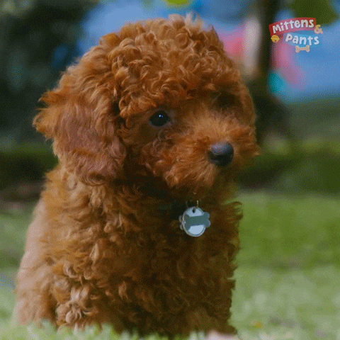 Excited On My Way GIF by Mittens & Pants