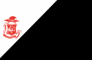 GIF by Kraonige Zwaone