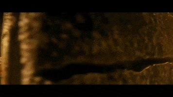 Baldurs Gate Dnd GIF by Dungeons & Dragons