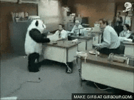 panda keyboard GIF