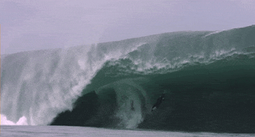 big wave surfing fall GIF