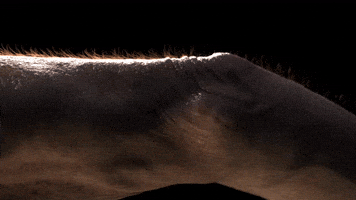 Skin Gobble GIF by tokyomegaplex