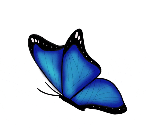 animated blue butterflies