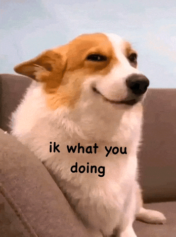 Ik What You Doing GIF
