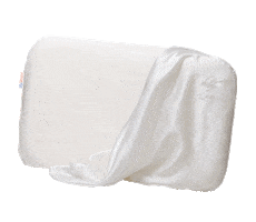 enVy Pillow Sticker