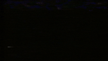 Aesthetics Trash Gang GIF