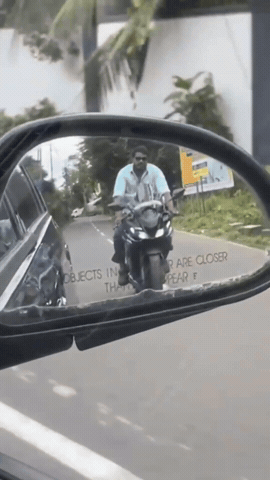 Sarasu GIF