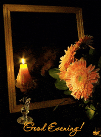 Have A Nice Evening Gifs Get The Best Gif On Giphy