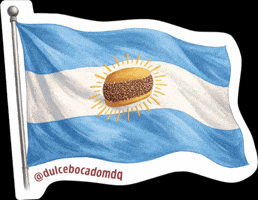 Argentina Bandera GIF