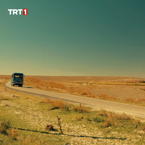 Driving GIF by TRT