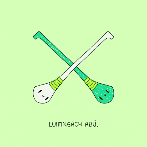 Lets Go Champions GIF