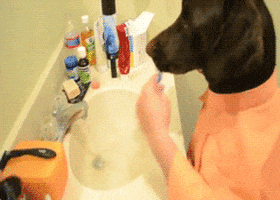 Brushing Teeth GIFs - Find & Share on GIPHY