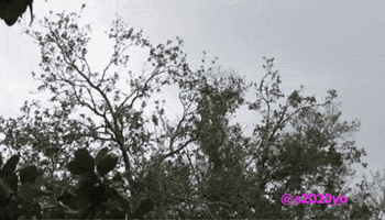 Zoom Sniper GIF