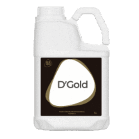 Dgold Sticker by Delta Fértil