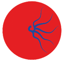 SOLANGISM Sticker