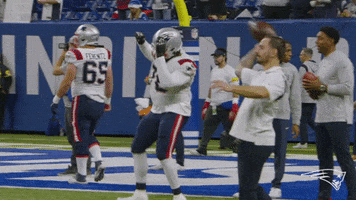 Happy Dance GIF by New England Patriots