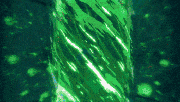 Beaver Evm GIF by RelicEntertainment