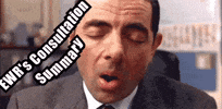Ewrs Consultation Summary GIF by Exposed Tech