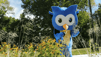 Summer Flower GIF by Middlesex Community College