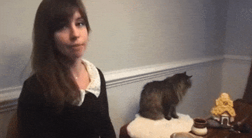 Cat Tea GIF