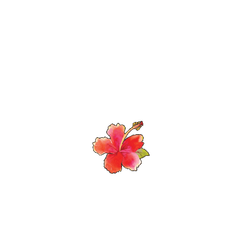 gayanadivecentre Sticker