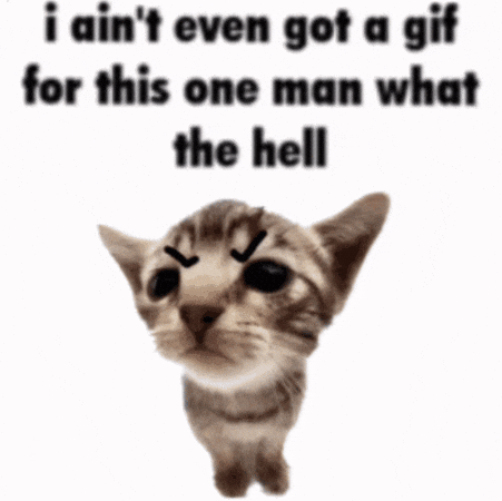 Mad Cat GIF