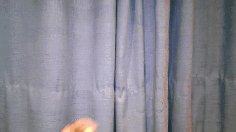 Curtain GIF - Find & Share on GIPHY