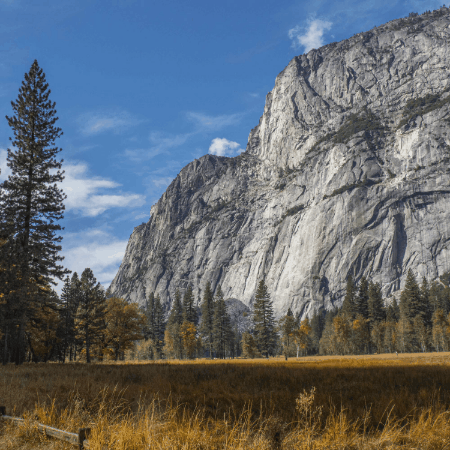 Vajira Samararatne GIF