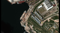 Images Show Russian Ships Loading Grain in Crimea, Satellite Company Says