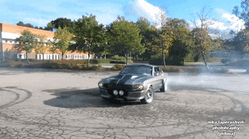 oxy  GIF