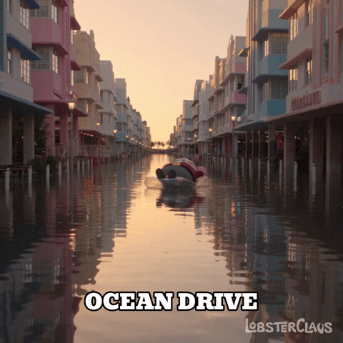 Miami Beach GIF by LobsterClaus