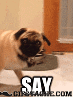 200.gif