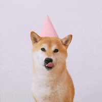 Happy Birthday Dog GIF by Vinícius Marconato
