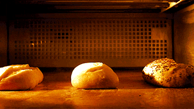 Bread GIF - Find & Share on GIPHY
