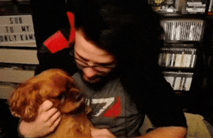 Kamzima GIF
