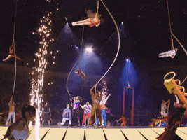 Finale Wow GIF by Ringling Bros. and Barnum & Bailey
