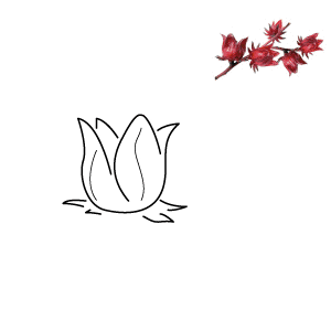 sab-r  GIF