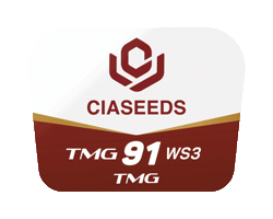 Tmg Sticker by Ciaseeds