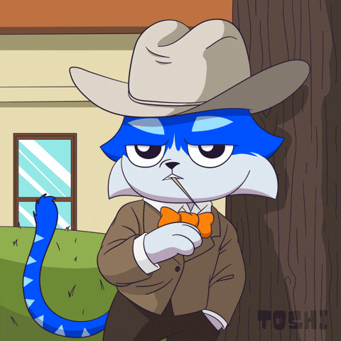 Cat Hello GIF by Toshithecat