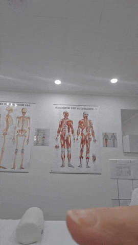 GIF by Naturheilpraxis Moog