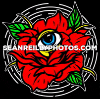 seanreillyphotos rose eye photographer baltimore GIF
