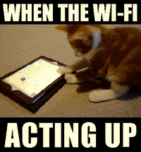 Getting a new phone  Funny gif, Funny, Best funny pictures