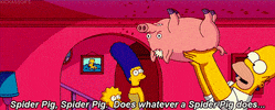 homer simpson pig GIF
