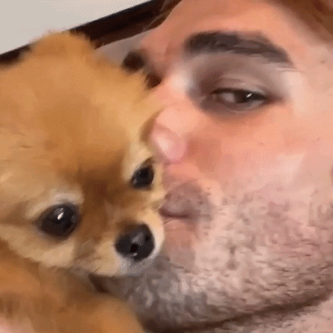 giphy.gif?cid=5e2148865ba67dfbce250856b2